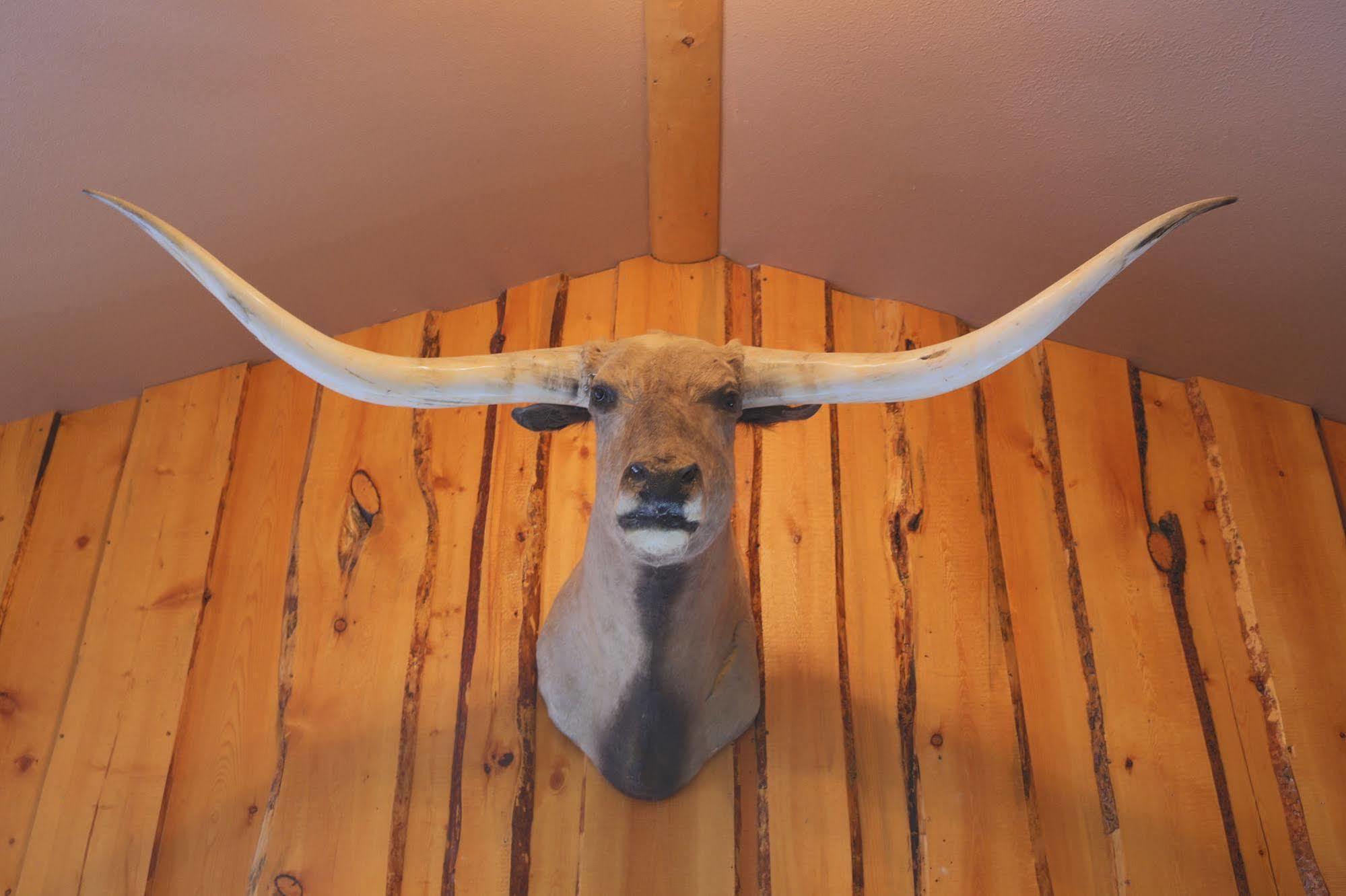 The Longhorn Ranch Resort Lodge & Rv Park Dubois Exteriör bild